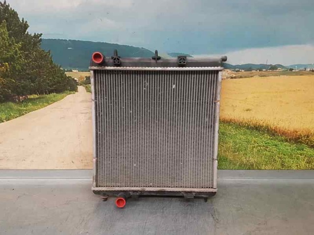 9684522780 Peugeot/Citroen