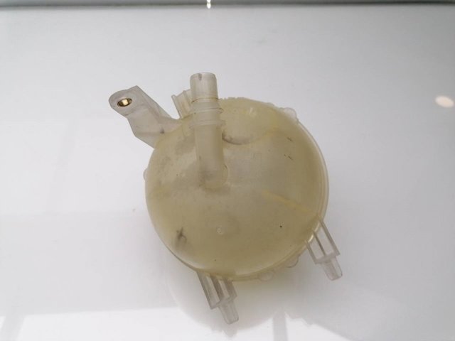 9684527680 Peugeot/Citroen