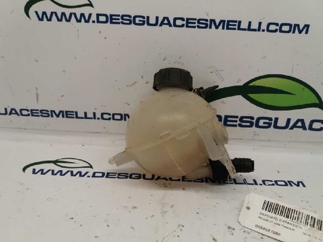 9684527680 Peugeot/Citroen