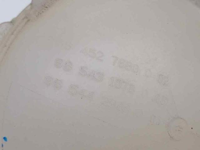 9684527680 Peugeot/Citroen