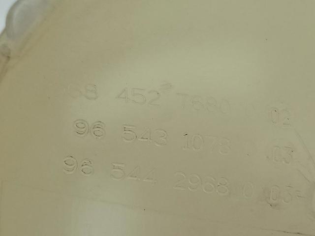 9684527680 Peugeot/Citroen