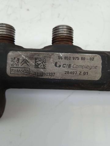 9685297580 Peugeot/Citroen