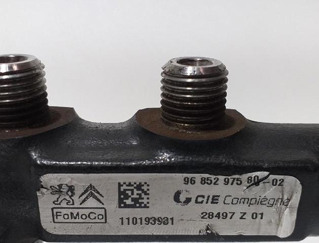 9685297580 Peugeot/Citroen