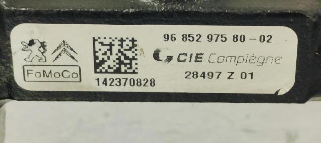 9685297580 Peugeot/Citroen