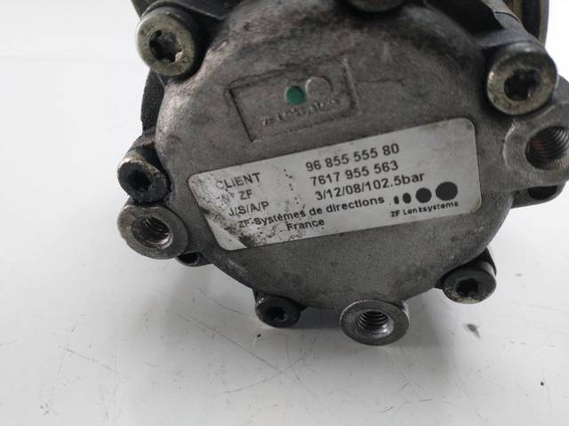 9685555580 Peugeot/Citroen