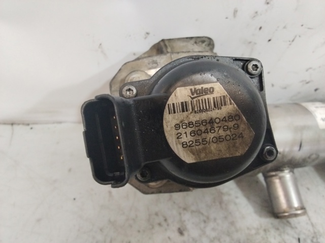 Zawór recyrkulacji spalin EGR 9685640480 PEUGEOT