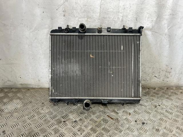 9685852680 Peugeot/Citroen