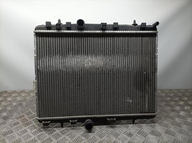 9685852680 Peugeot/Citroen