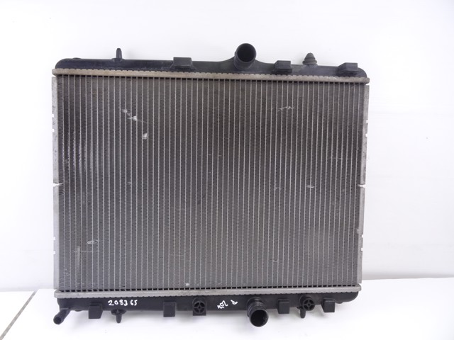 9685852680 Peugeot/Citroen