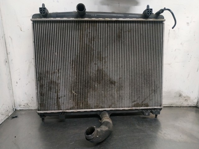 9687359980 Peugeot/Citroen