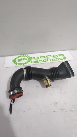 9687883680 Peugeot/Citroen