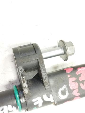 9688725080 Peugeot/Citroen