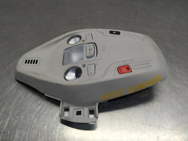 96887290BJ Peugeot/Citroen