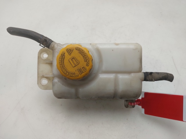 Zbiorniczek wyrównawczy układu chłodzenia 96930818 GM