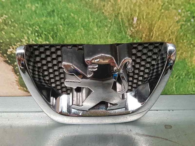 9800313880 Peugeot/Citroen
