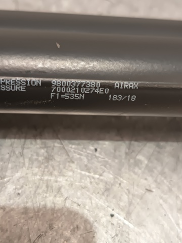 9800377380 Peugeot/Citroen