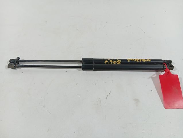 9800377380 Peugeot/Citroen