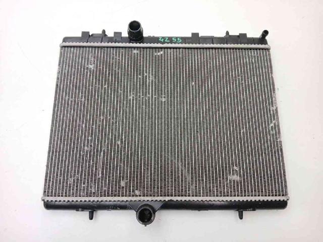9800482380 Peugeot/Citroen