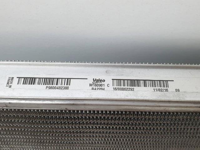 9800482380 Peugeot/Citroen