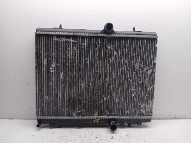 9800482380 Peugeot/Citroen