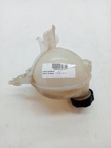 9800777280 Peugeot/Citroen