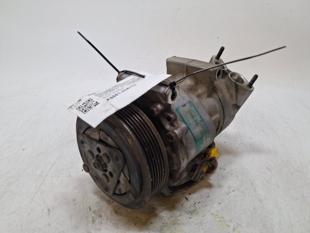 9800821980 Peugeot/Citroen