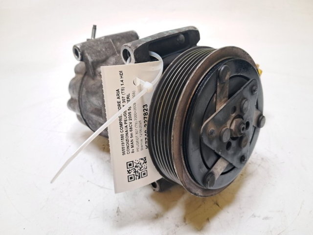 9800822280 Peugeot/Citroen