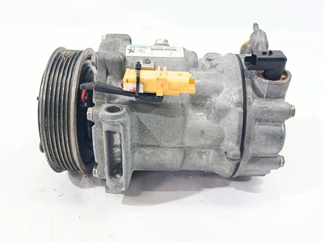 9800839580 Peugeot/Citroen