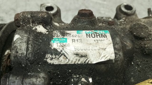 9800839580 Peugeot/Citroen