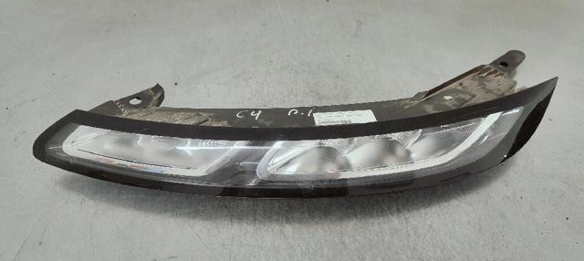 9800910780 Peugeot/Citroen