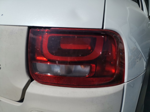 9800916080 Peugeot/Citroen