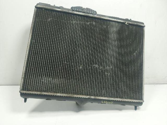9801253980 Peugeot/Citroen