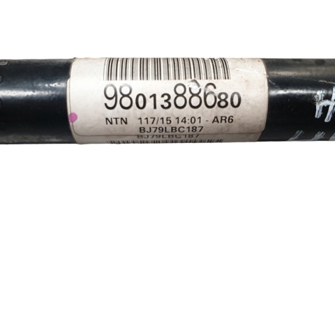 9801388680 Peugeot/Citroen