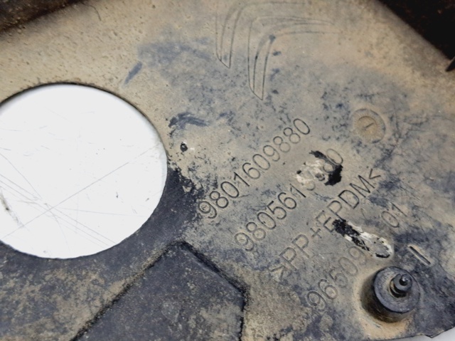 Nadkole błotnika przedniego lewe Citroen C4 1 LC