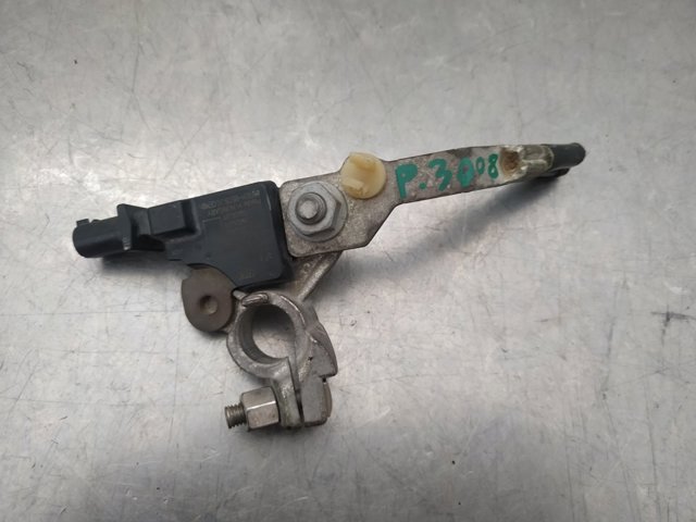 9802043580 Peugeot/Citroen