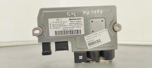 9802096780 Peugeot/Citroen