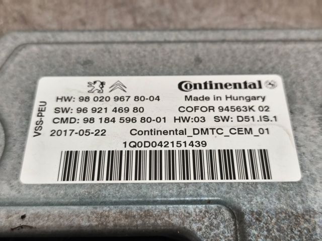 9802096780 Peugeot/Citroen