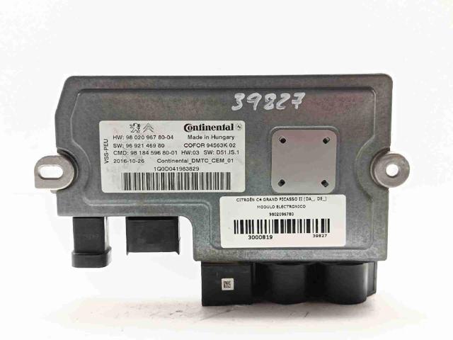 9802096780 Peugeot/Citroen