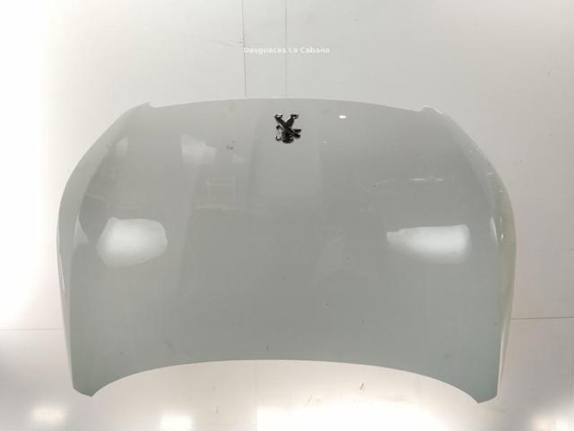 9802163180 Peugeot/Citroen