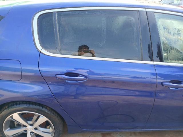 9802165580 Peugeot/Citroen