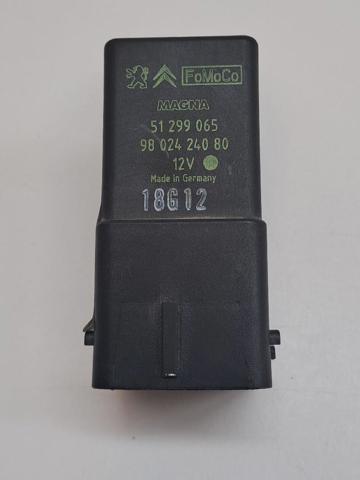 9802424080 Peugeot/Citroen