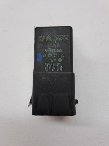 9802424080 Peugeot/Citroen