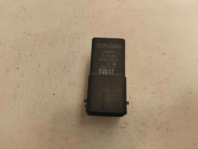 9802424080 Peugeot/Citroen