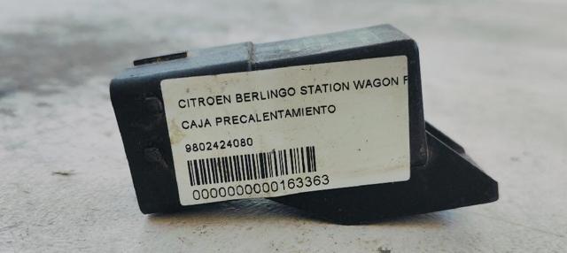 9802424080 Peugeot/Citroen