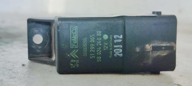 9802424080 Peugeot/Citroen