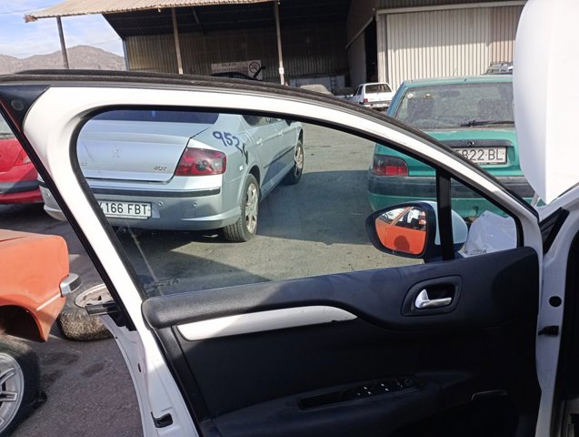 9802531980 Peugeot/Citroen