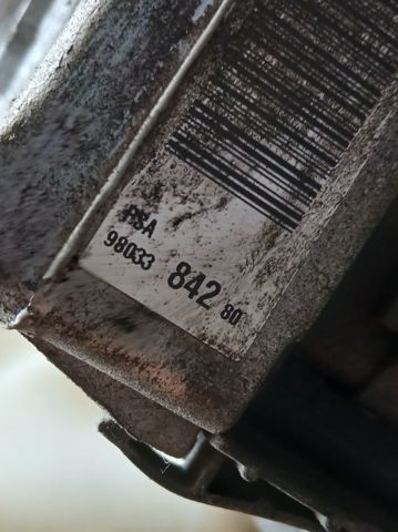 9803384280 Peugeot/Citroen