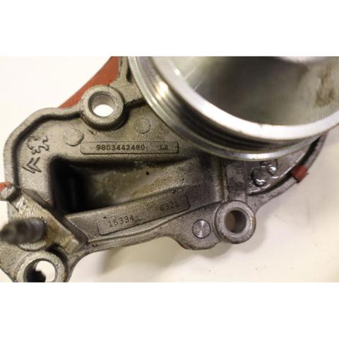 9803442480 Peugeot/Citroen