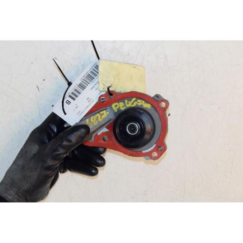 9803442480 Peugeot/Citroen