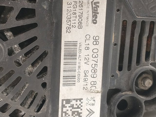 9803750980 Peugeot/Citroen